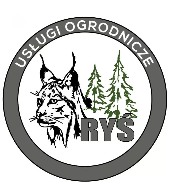 Ryś